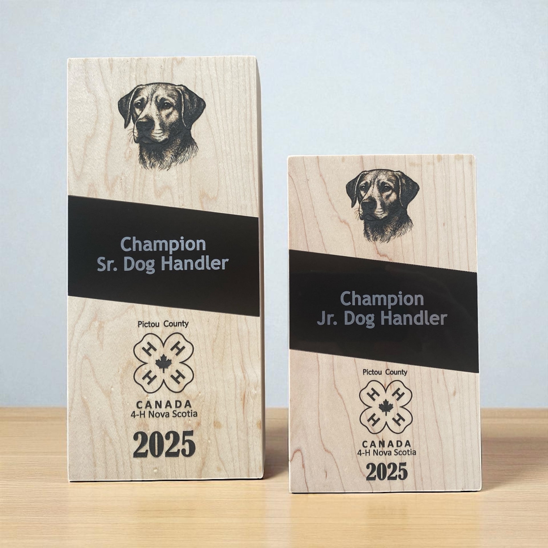 Custom Awards & Trophies – Crafted for Excellence 🏆✨