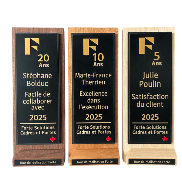 Custom Awards & Trophies – Crafted for Excellence 🏆✨