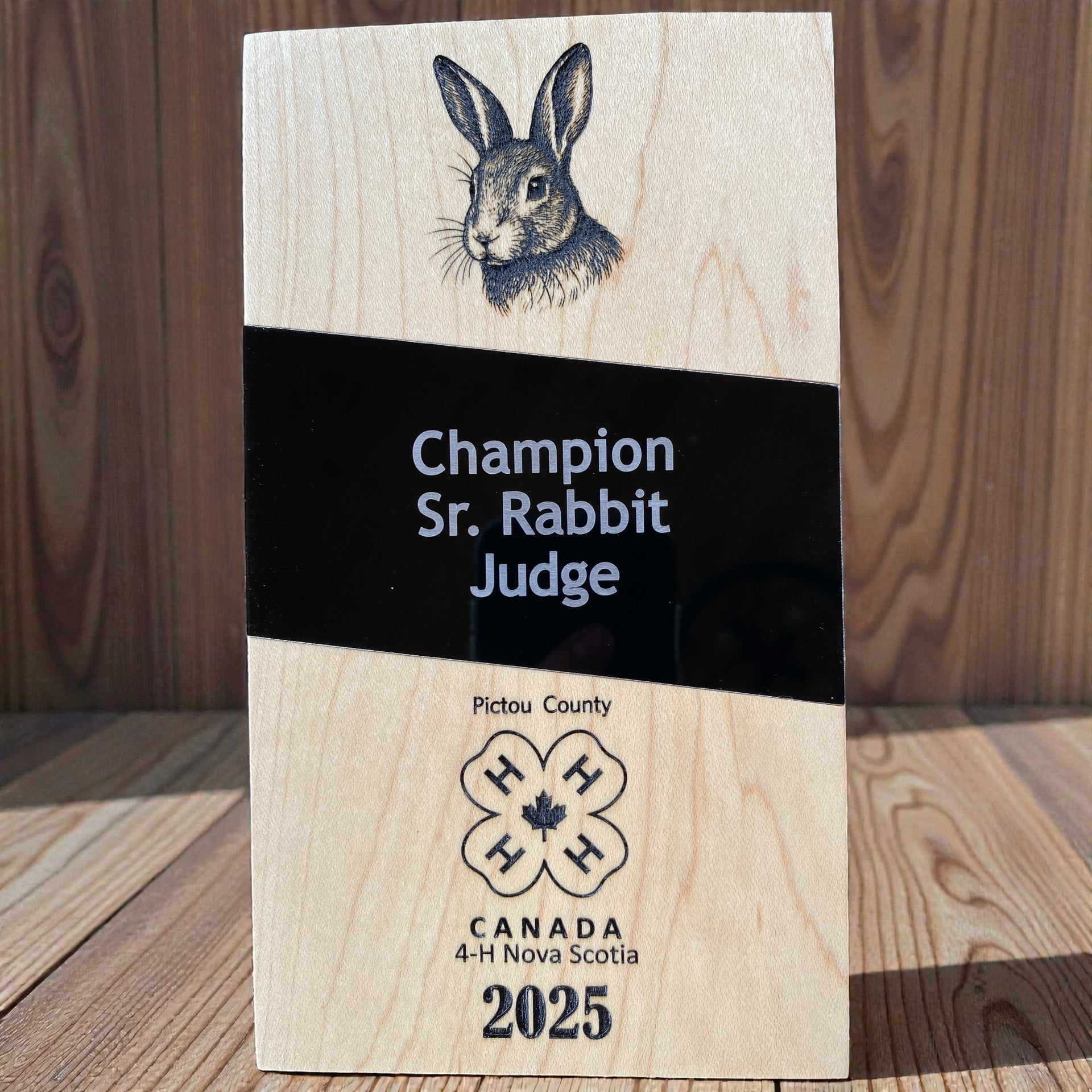 Custom Awards & Trophies – Crafted for Excellence 🏆✨